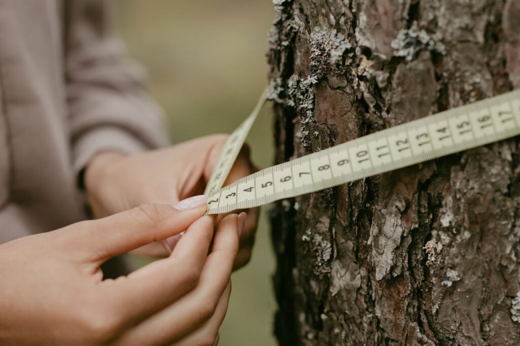pexels-photo-6636342 Hands measuring the circumference of a tree trunk with a tape measure, focusing on environmental conservation.